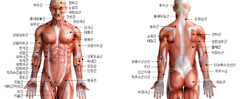 이미지명